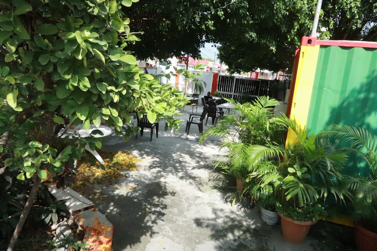 Ghino's Ltd – Photo 3