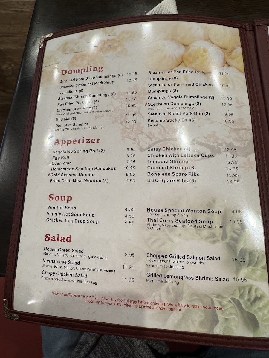 Ren Dumpling & Noodle House Llc Menu Photo 1