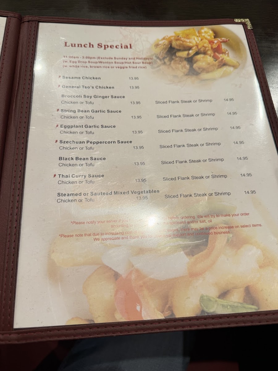Ren Dumpling & Noodle House Llc Menu Photo 3